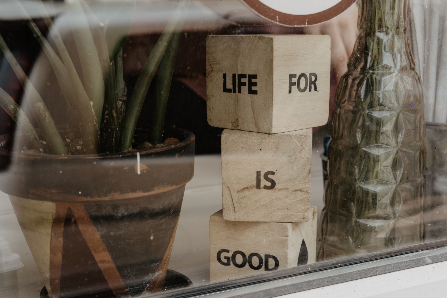 Good habits for life